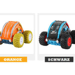 RC Stunt Car - mit Überrollkäfig / RC Stunt Car - Roll-Over