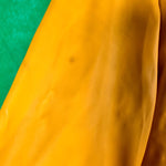 B-WARE SCHMUDDELWEDDA DAMEN REGENJACKE Gr. S Farbe Sonnengelb