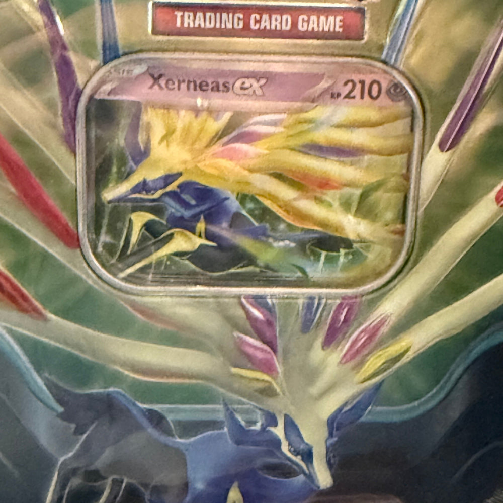 Pokémon Cards Tin Box #119 Xerneas EX DE - Pokemon TCG