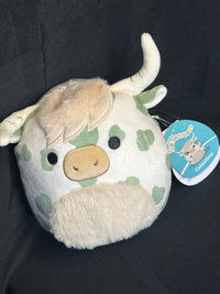 Squishmallows Plüsch 19cm sortiert