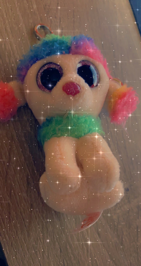 Schlüsselanhänger Beanie Boos TY Hund Hündchen Rainbown IN Peluches 10 CM Idee
